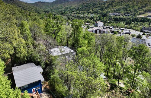 Kenilworth Ski Chalet | Downtown Asheville - Zurich Swiss Mountain Chalet