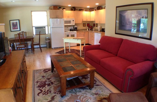 Carbondale Apartment | Downtown Carbondale - Walk in and Feel at Home