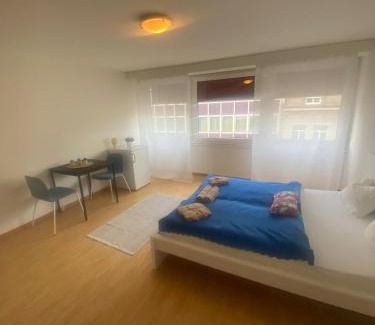 Lucerne Apartment | Downtown Flats, Lake Lucerne