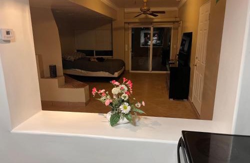 F. Q. Story Apartment | Downtown Pool Suite 1