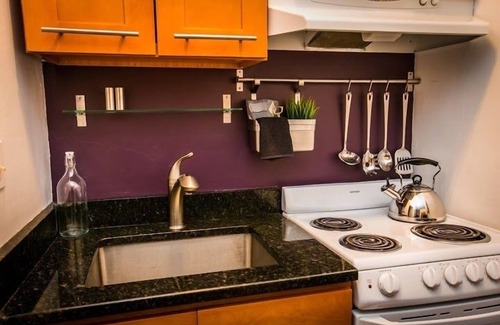 Chinatown Apartment | Downtown Studio Apt, near Tufts Med, BMC, MGF