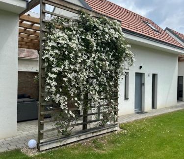 Level Apartment | Dream Apartman