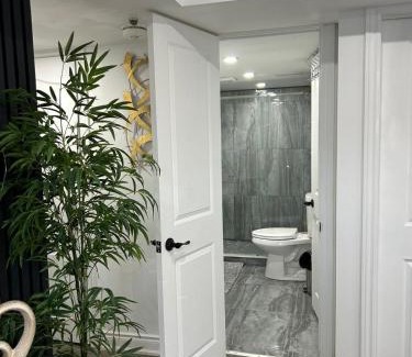 Thorold Apartment | Dream HOUSE, Basement