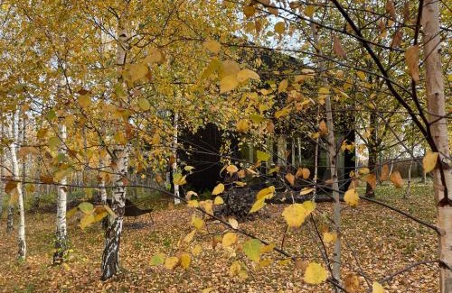 Pieszyce Ski Chalet | Drewniany dom w brzozowisku