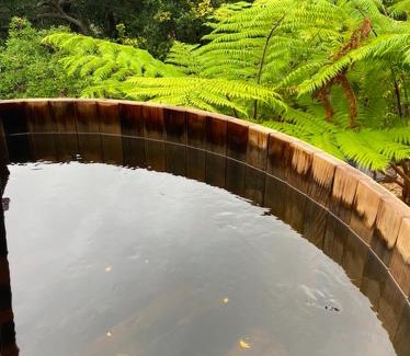 East Ballina Apartment | DRIFTWOOD- Hidden Gem, great view in a nature setting