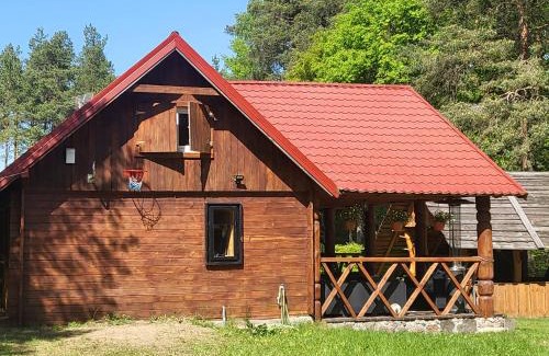 Olsztynek House | Duży domek przy lesie