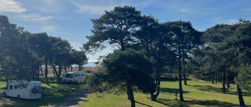 Dueodde Other | Dueodde Camping