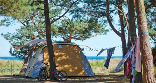 Dueodde Other | Dueodde Camping