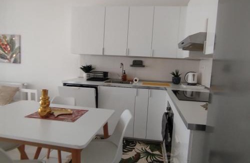 Vizafogo Apartment | Duna Apartment, FreeGarage, 2Room, smartTV,Dishwasher,AC from July 4th