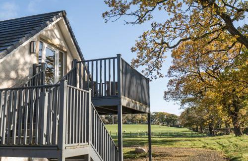 Fintry Apartment | Dunroamin Apartment