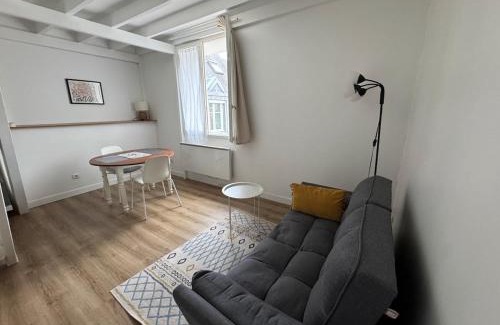 Bourgogne Apartment | Duplex place Louis XI Orléans