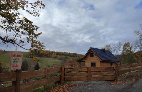 Szczytna Ski Chalet | Dzika Polana