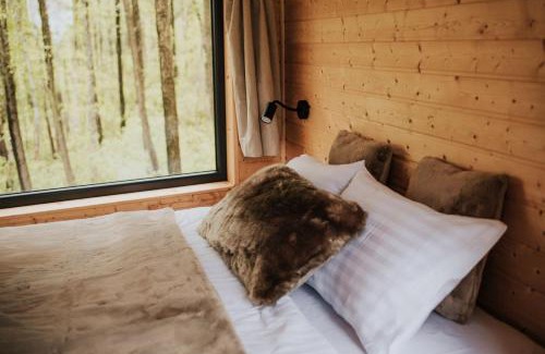 Miłomłyn Apartment | Dziki Las - domki na drzewach