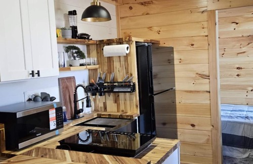 Six Mile Cabin | Eagle Container Cabin B – Walterfalls, Upstate SC