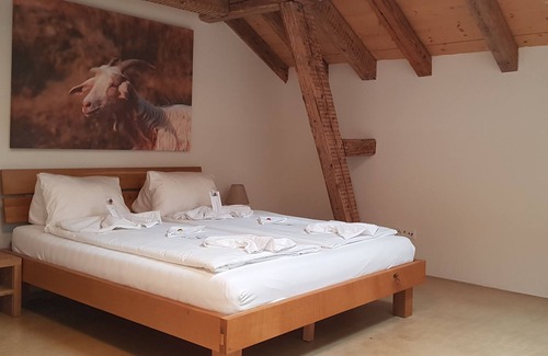 Littau Apartment | Easy-Living Apartments Lindenstrasse 21, 2 Bedrooms