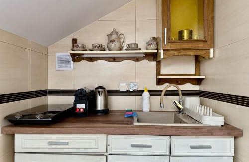 Naleczow Apartment | EASY RENT Apartments - Willa Alba