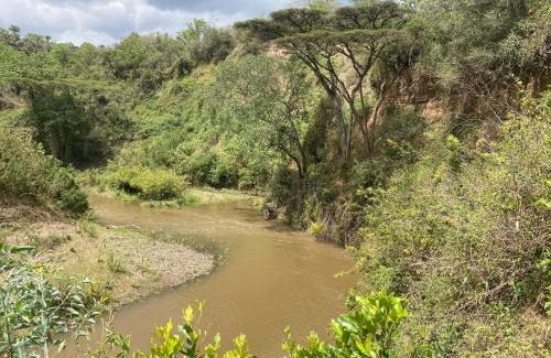 Naivasha Other | Echoes of Eden: Forest Haven