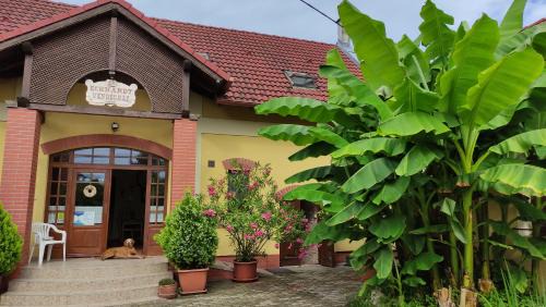 Villany House | Eckhardt Vendégház