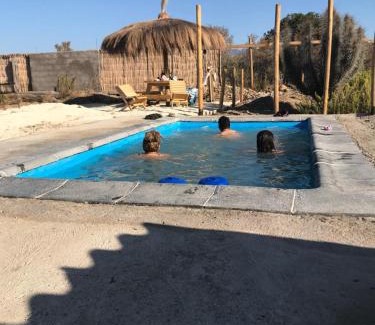 Coquimbo Bed & Breakfast | Eco Lodge Loro Tuerto