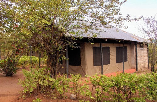 Central Province Cabin | Eco mara forest camp