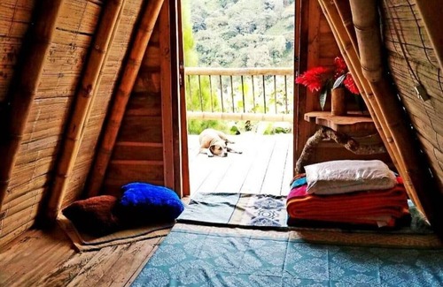 Pijao House | Ecocabaña En La Naturaleza Para Desconectarse. Armenia Quindío