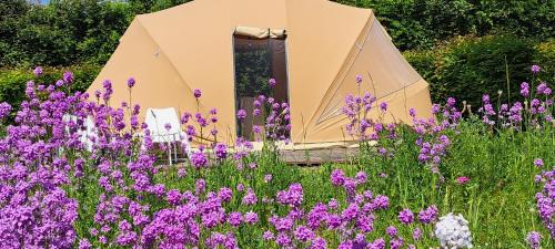 Westouter Other | Ecochique