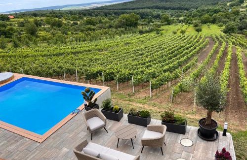 Edeleny Apartment | Edelin Wine House