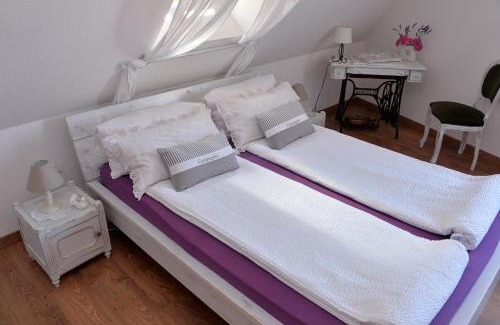 Krautergersheim House | Eden des choux