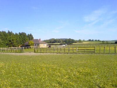 Shaftesbury House | Edgecoombe