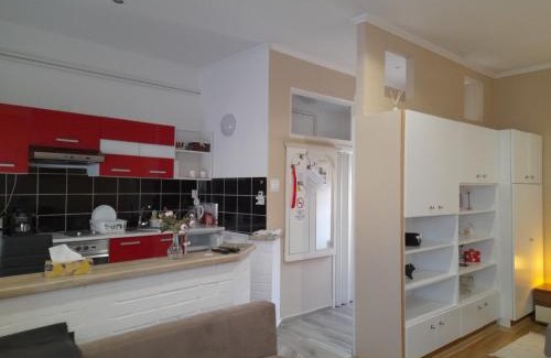 Satoraljaujhely Apartment | Edina Apartman