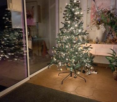 Rossau Bed & Breakfast | Edit Pension Rossau