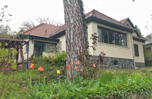 Matrafured House | Edit Villa