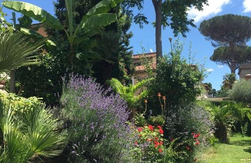 Castiglione in Teverina Apartment | Edy House