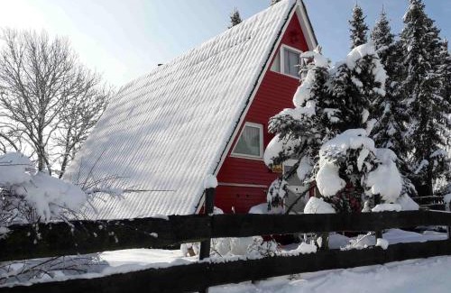 Dockweiler House | Eifeler Finnhaus mit Sauna, Mühlenberg 13