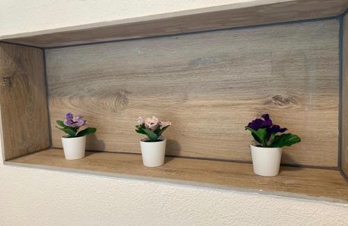 Grindelwald Apartment | Eiger, Jungfrau, luxury garden apartment