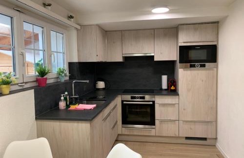 Grindelwald Apartment | Eiger, Jungfrau, luxury garden apartment