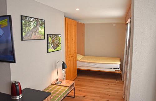 Murren Hotel | Eiger Mürren Swiss Quality Hotel