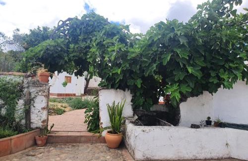 Campofrio House | El Corral de la Higuera