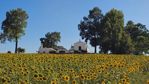Arcos de la Frontera House | El Membrillo casa rural