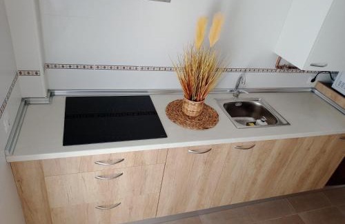 Lerma Apartment | El Olmo
