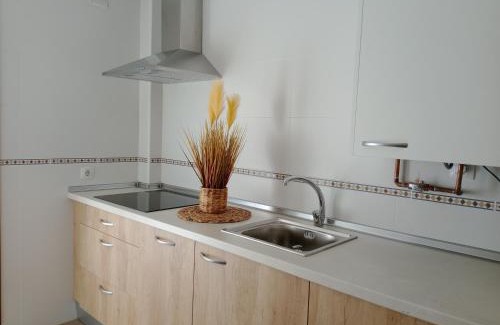 Lerma Apartment | El Olmo
