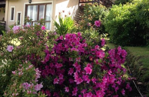 Sierra de los Padres House | EL PARAISO DEL DESCANSO