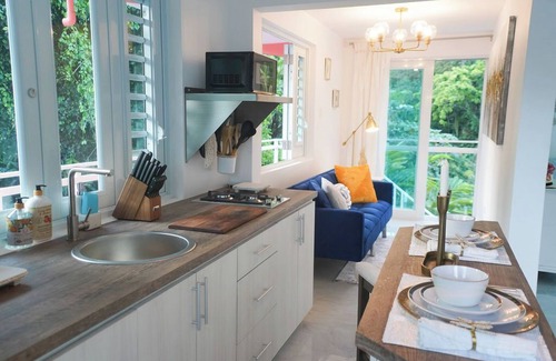 Rio Blanco Apartment | El Yunque Rainforest