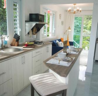 Rio Blanco Cabin | El Yunque Waterfalls Romantic Stay at Casa Parcha