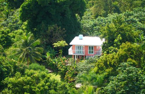 Rio Blanco Cabin | El Yunque Waterfalls Romantic Stay at Casa Parcha