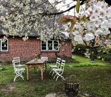 Drage House | Elbkoje