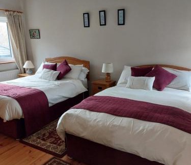Westport Bed & Breakfast | Elderberry B&B