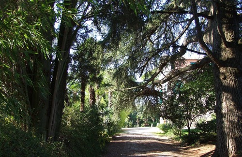 Treia Apartment | Elegant house inside our period villa surrounded by centuries-old park
