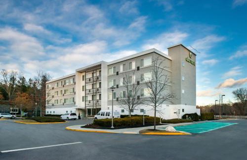 Lexington Hotel | Element Lexington