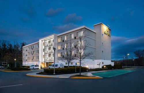 Lexington Hotel | Element Lexington